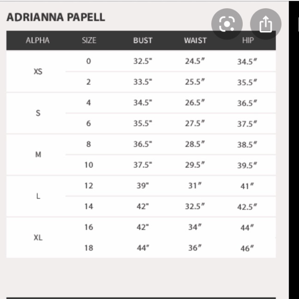 Adrianna-Papell cocktail sleeveless lace dress - Picture 5 of 9